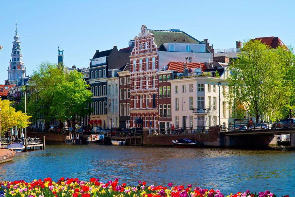 Museo Van Gogh y 1 hora de crucero por los canales - Imagen 4