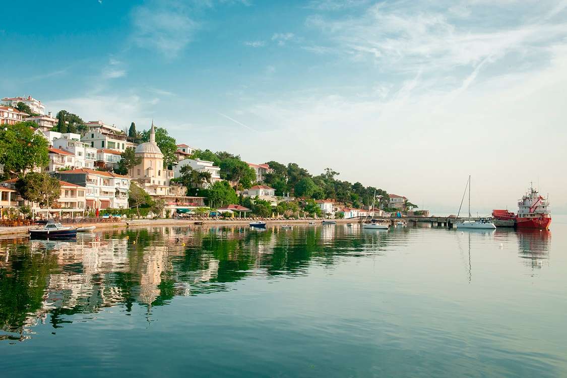 Excursión a las Islas Príncipe - Imagen 2