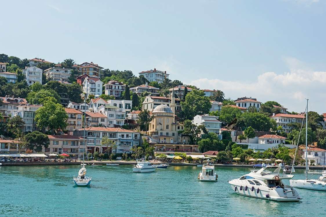 Excursión a las Islas Príncipe - Imagen 3