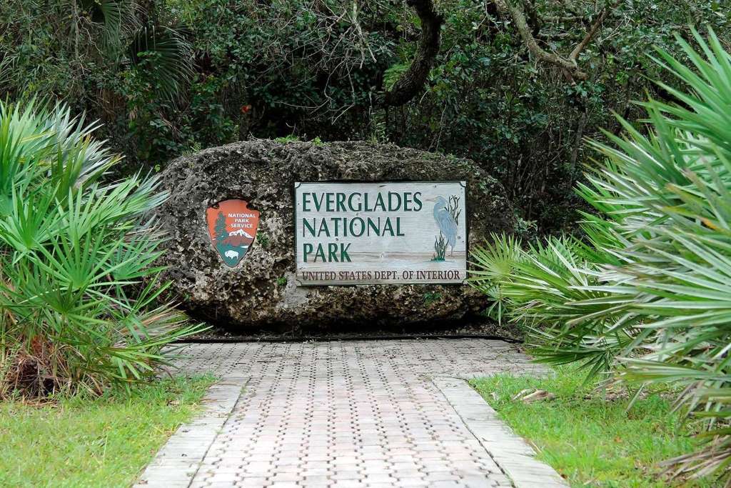 Aventura en Aerobote por los Everglades - Imagen 2