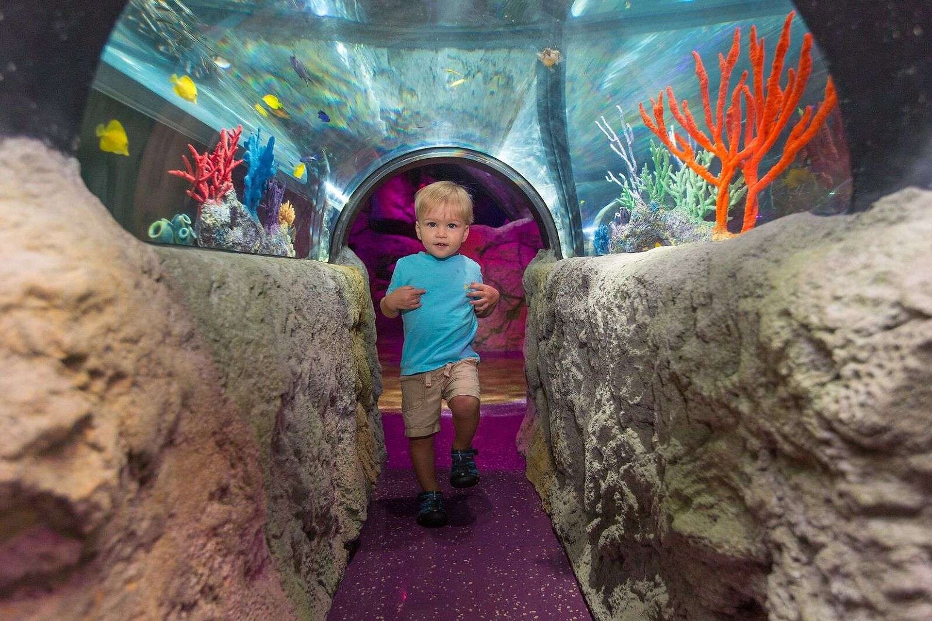 Entrada combinada Madame Tussauds y Sea Life - Imagen 1