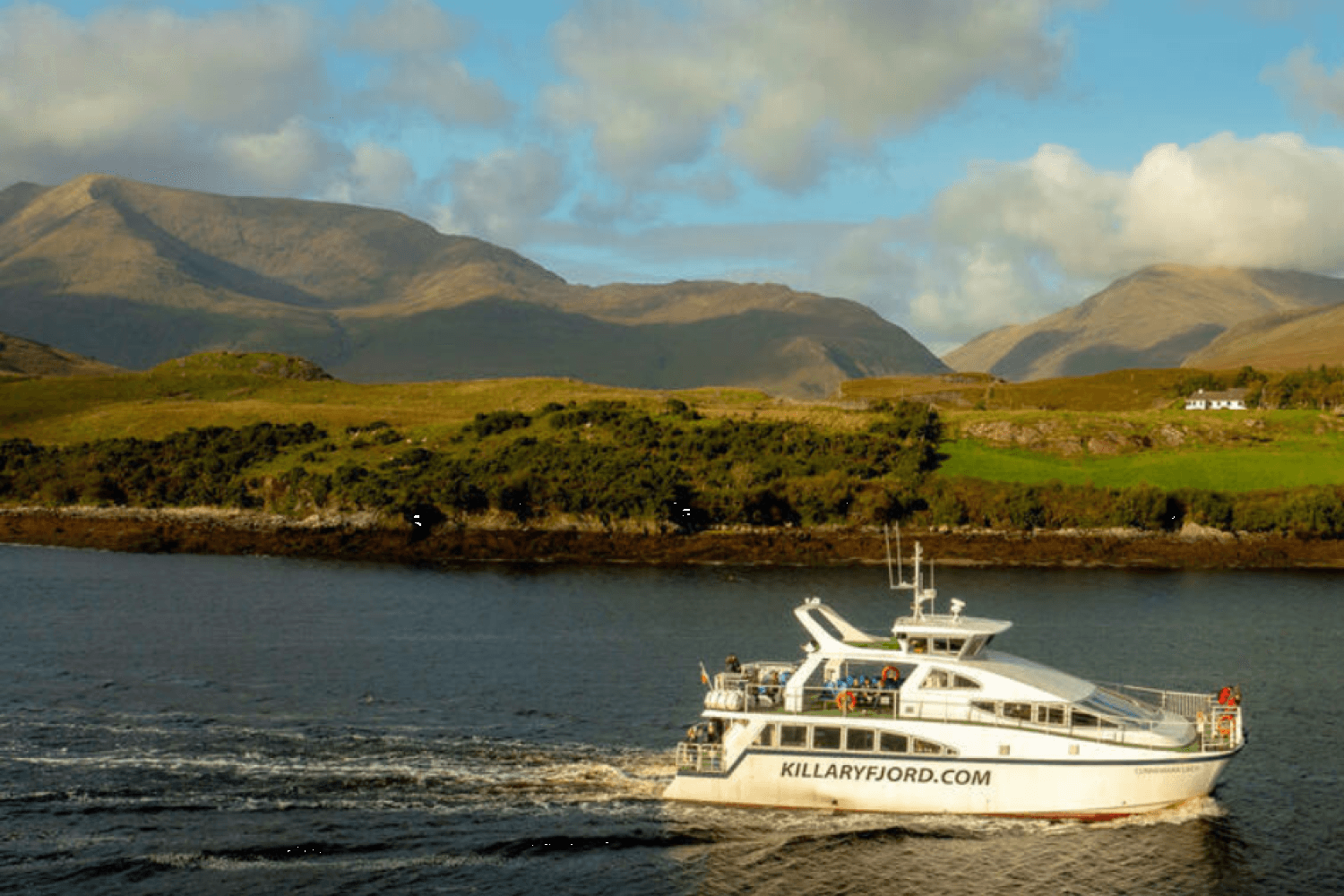 Desde Dublín: Excursión de un día a Connemara con paseo en barco por el fiordo de Killary y Galway - Imagen 1