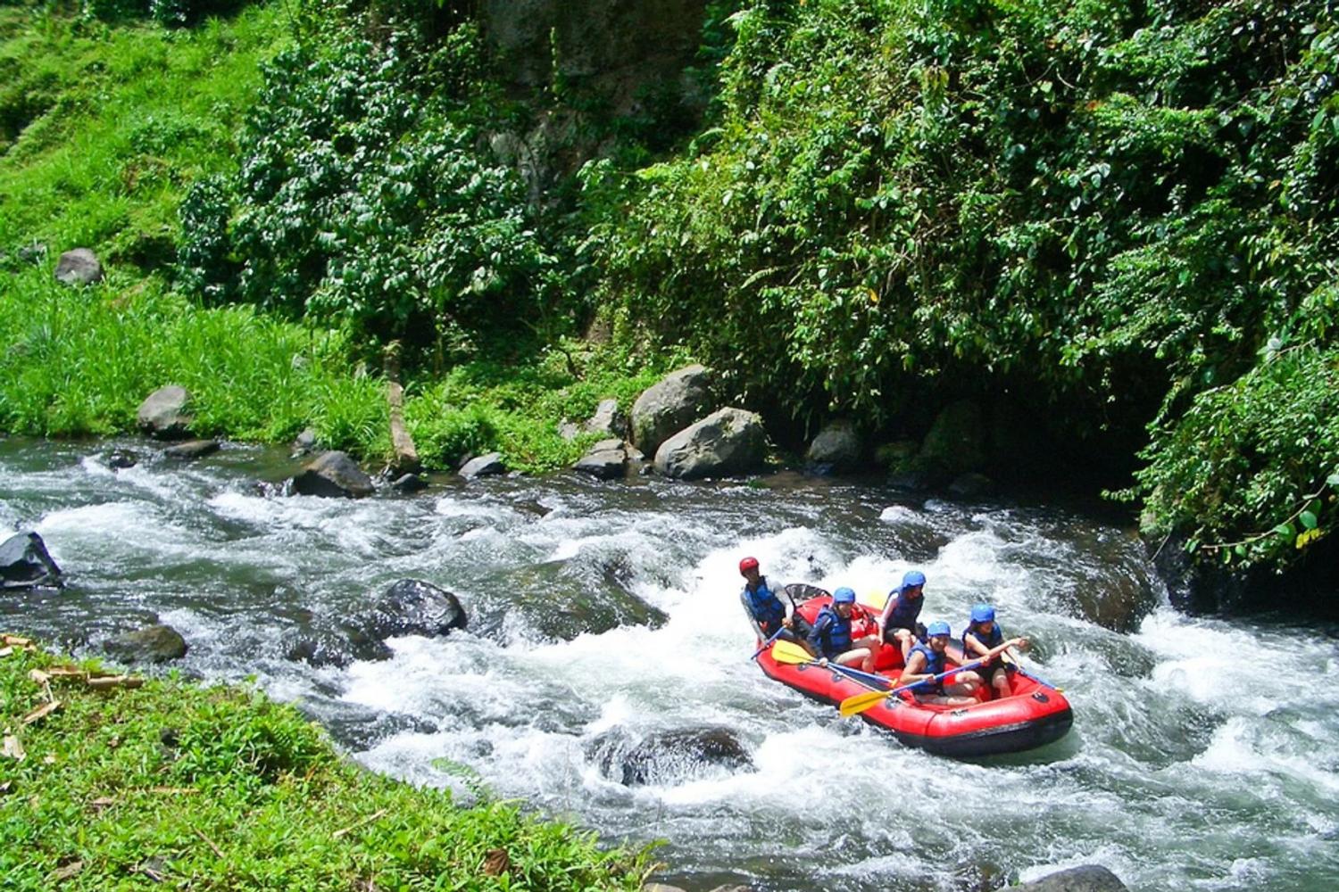 White Water Raft y el centro de Ubud - Imagen 1