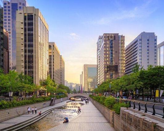 Recorrido de día completo por los lugares destacados de Seúl: Gyeongbokgung, Torre N' Seoul y pueblo Namsangol - Imagen 1