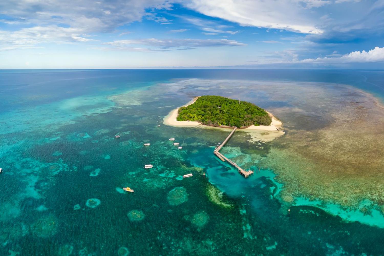 Ecoaventura Green Island con Great Adventures - desde Cairns - Imagen 1