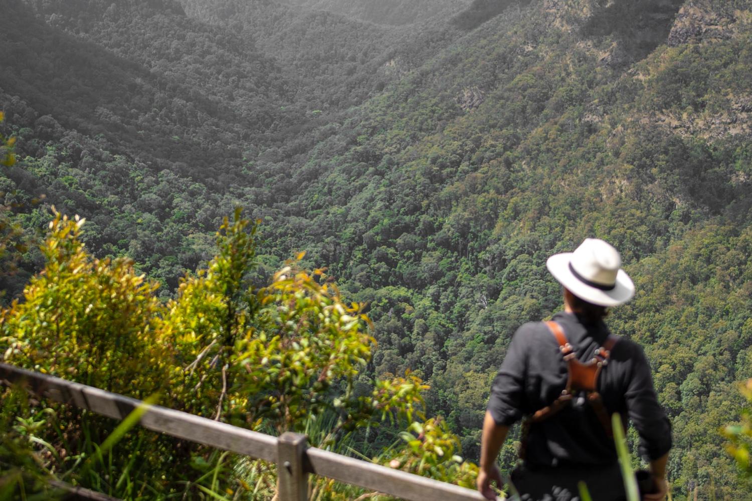 O Reillys y el Parque Nacional de Lamington - Imagen 1