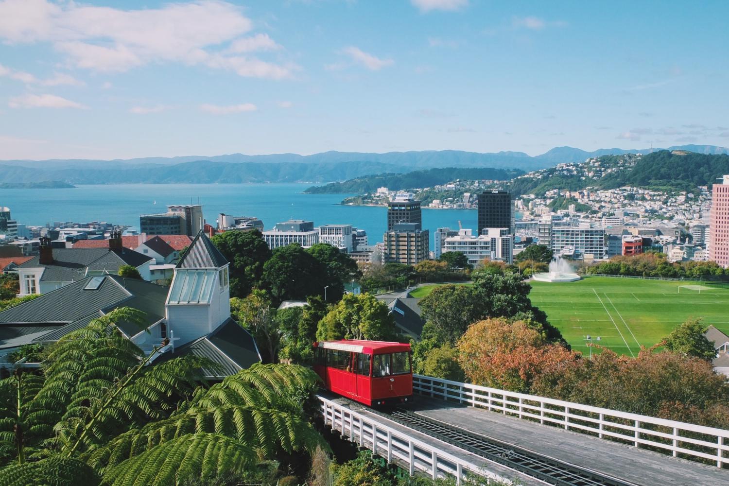 Tour de día completo de Wellington - Imagen 1