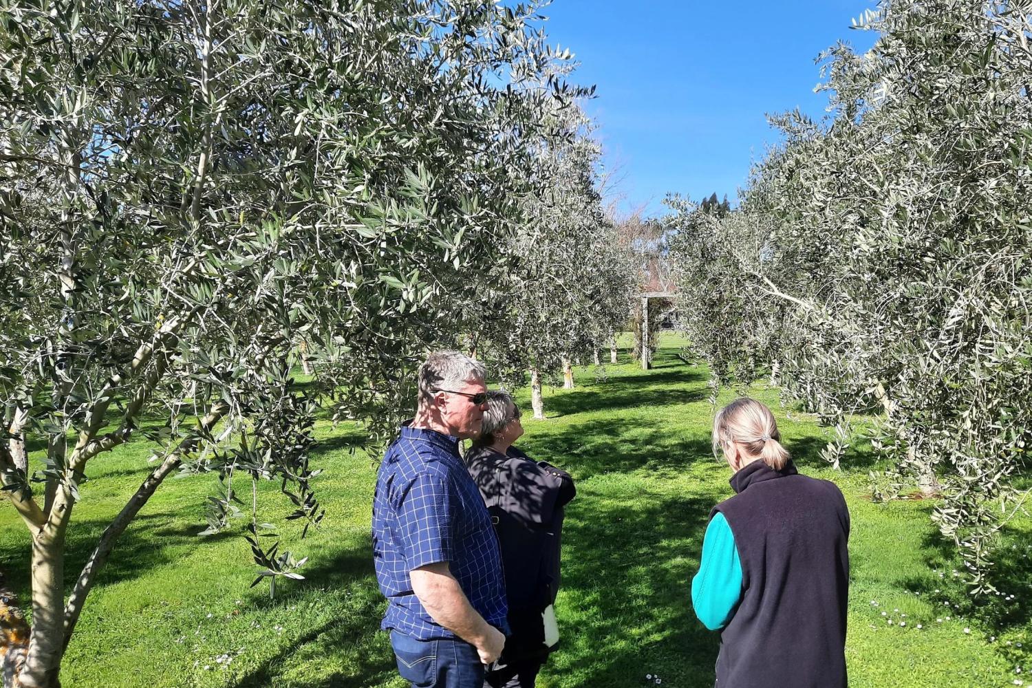 Martinborough Winery and Foodie Tour - Imagen 1