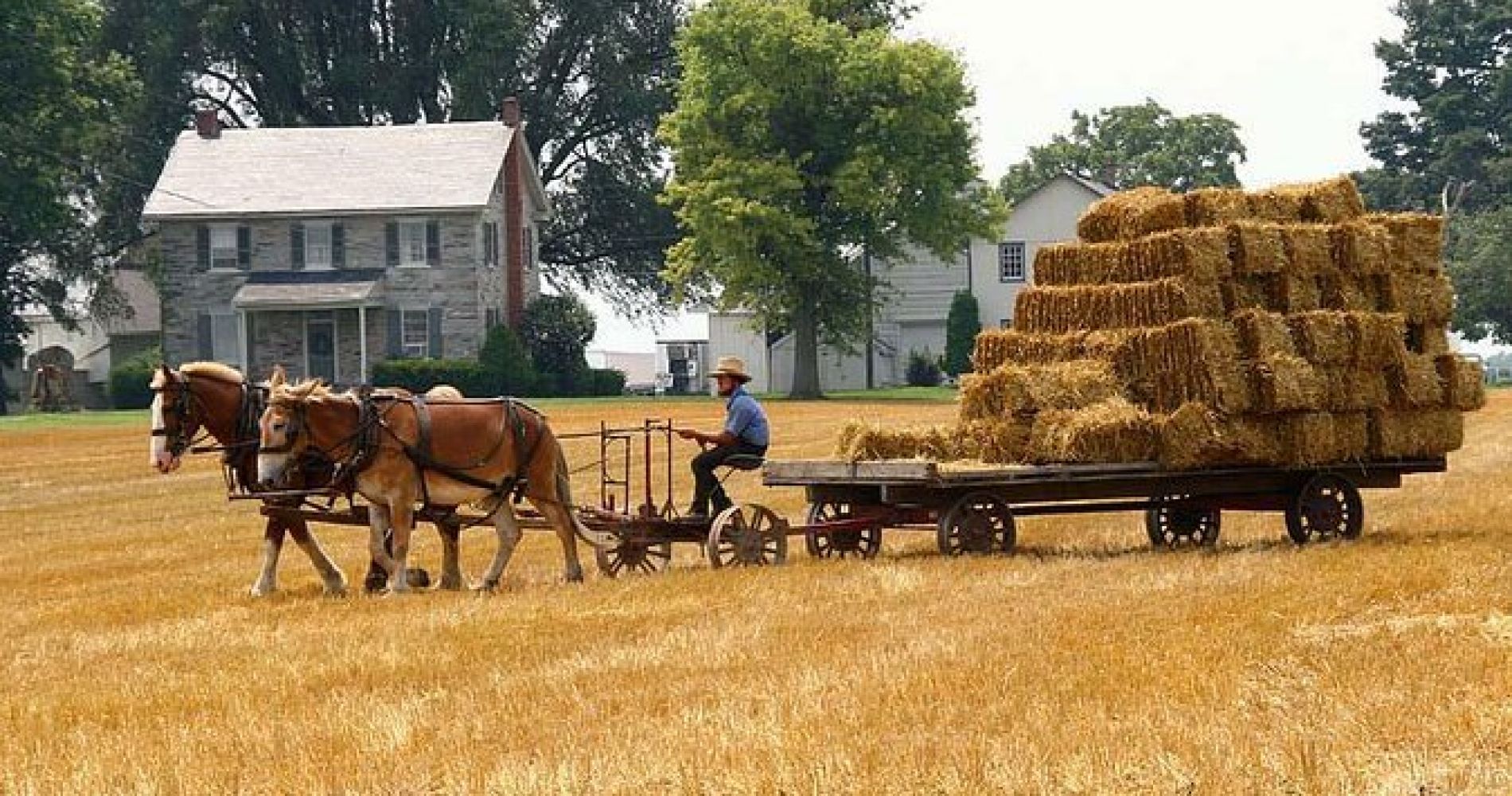 Visita a Philadelphia y Pueblo Amish de 1 día en español - Imagen 1