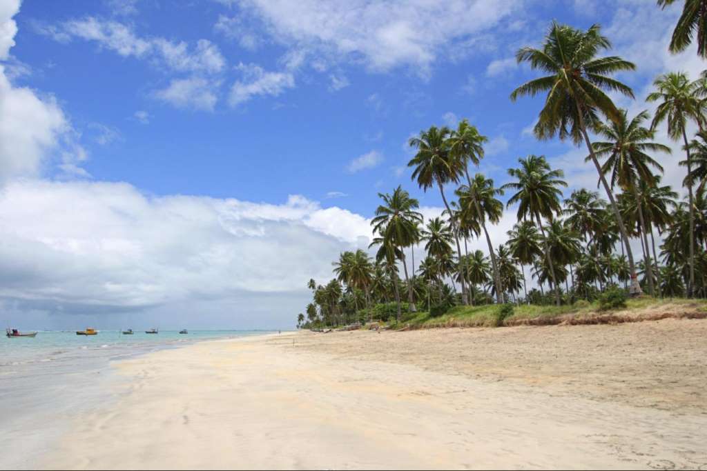 Paseo en la Magnifica Playa del Gunga - Imagen 1