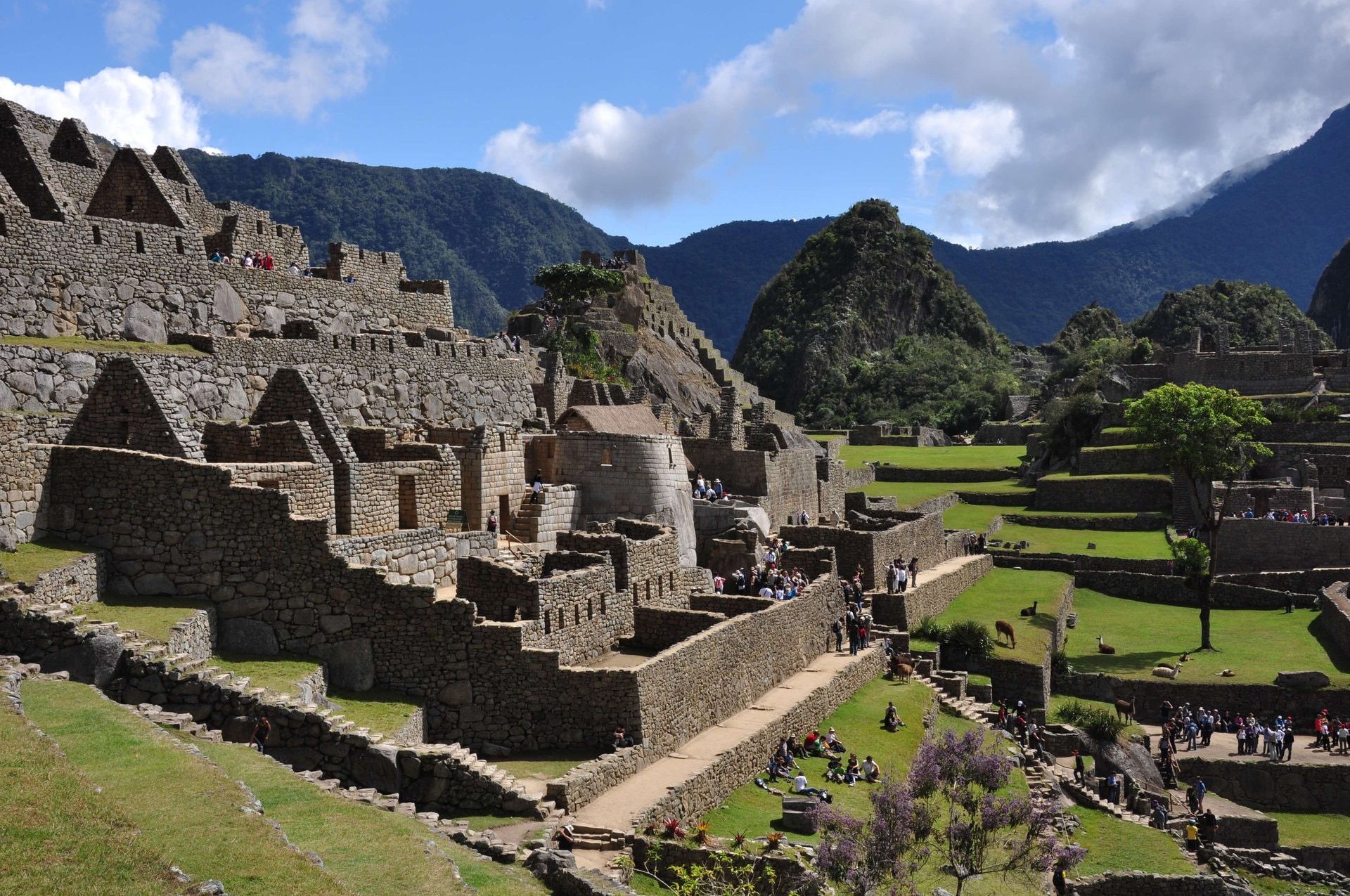 Machu Picchu en un día desde Cusco - Imagen 1
