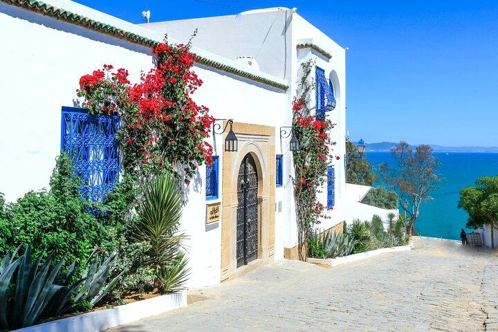 Visita a la antigua Cartago y Sidi Bou Said con almuerzo incluido. - Imagen 1