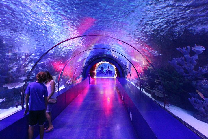 Excursión de 8 horas al acuario y al casco antiguo de Antalya - Imagen 1