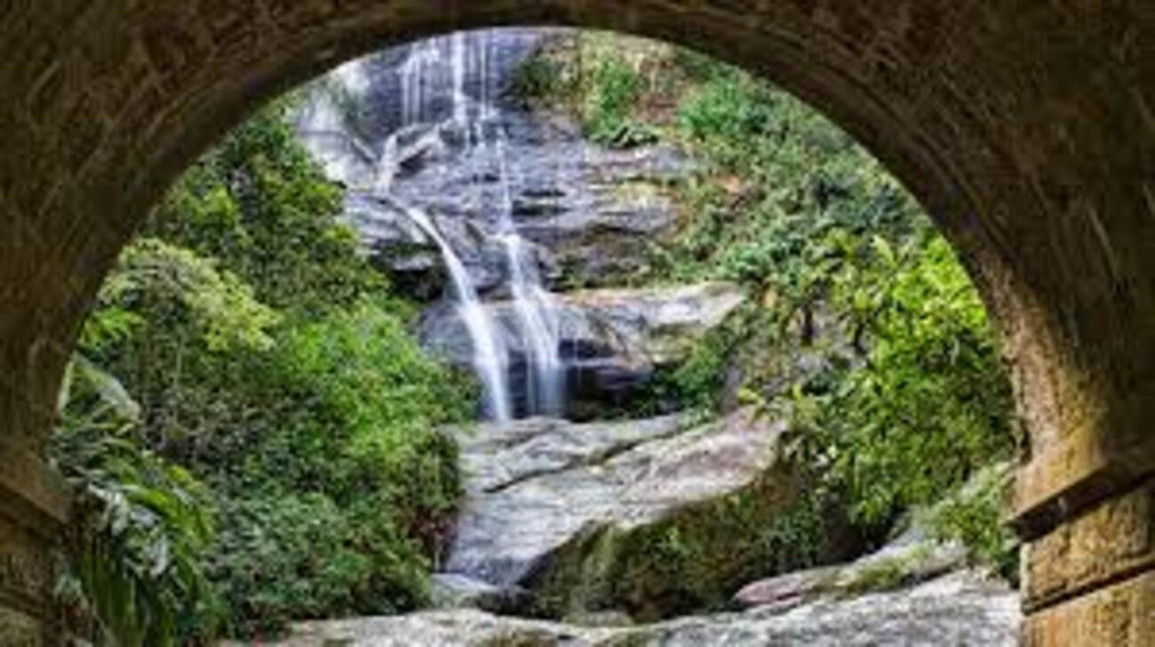 Tour Ecológico Bosque de Tijuca y Jardín Botánico - Entrada incluida - Imagen 1