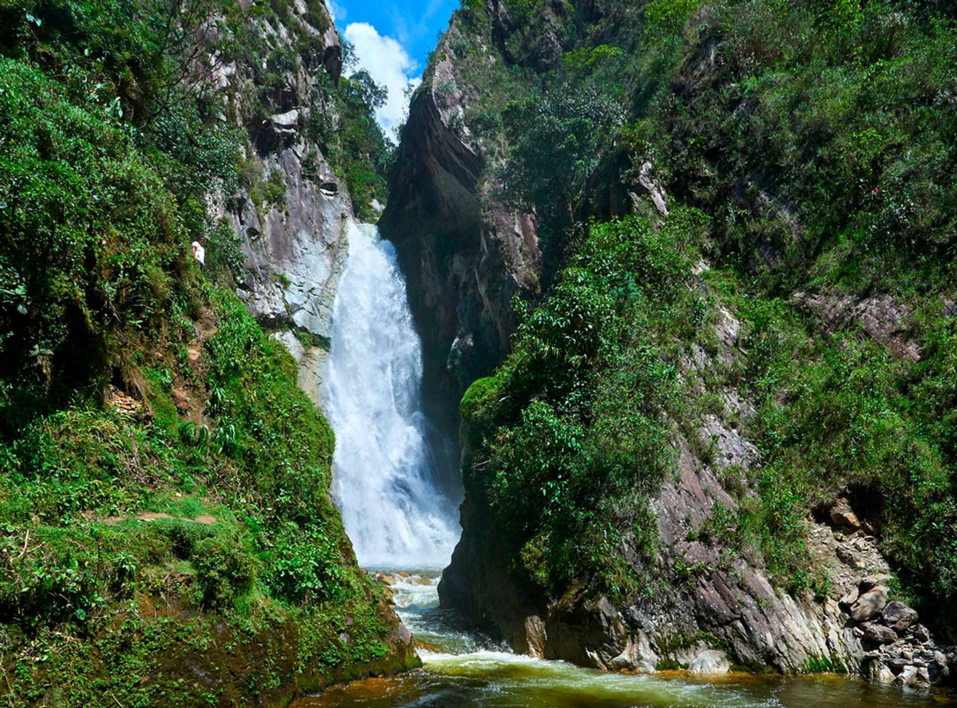 Villa Rica: café y selva tropical - Imagen 1