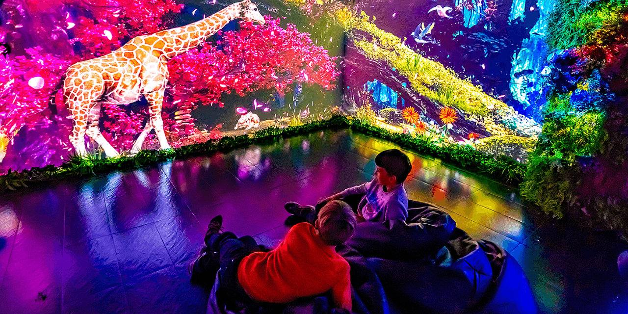 Big Fun Museo - Barcelona - Imagen 1