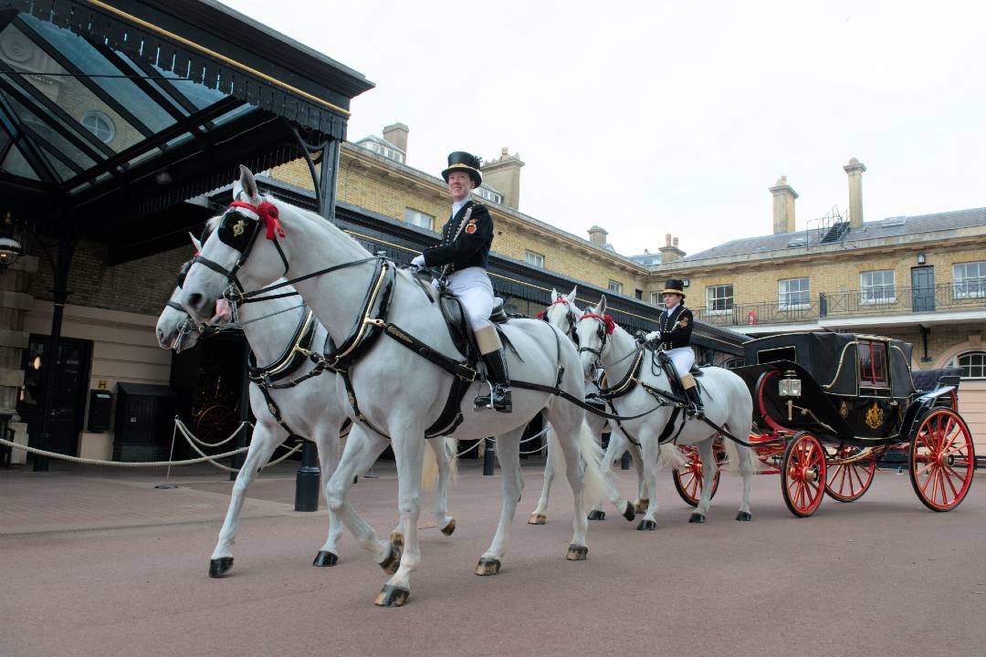 Caballerizas reales - Imagen 1