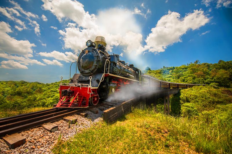 Recorrido épico en tren italiano María Fumaça y vino - Imagen 1