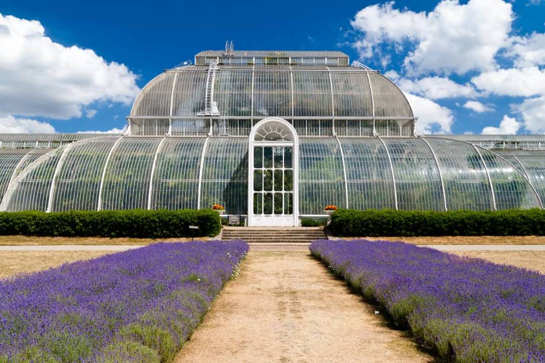 Jardines de Kew - Imagen 1