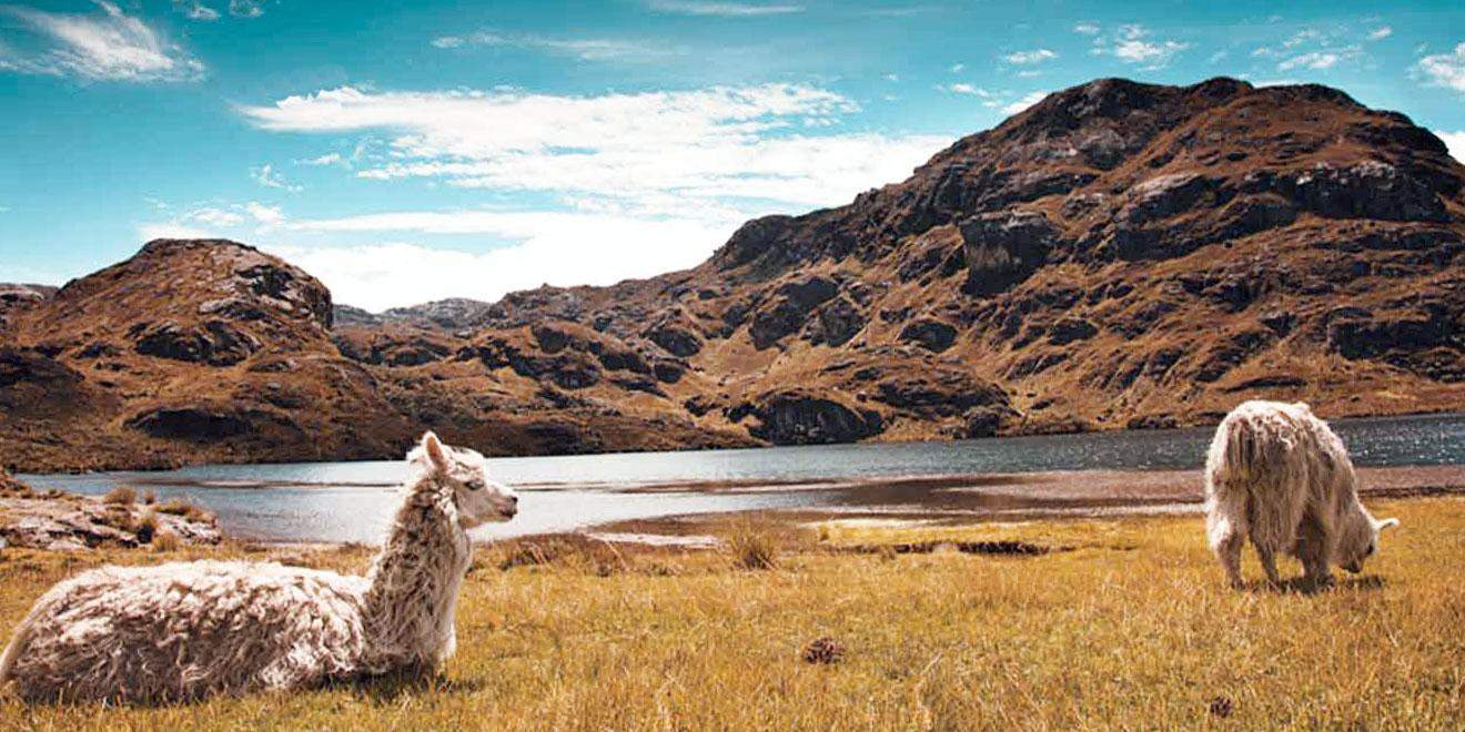 Excursión al Parque Nacional Cajas - Imagen 1