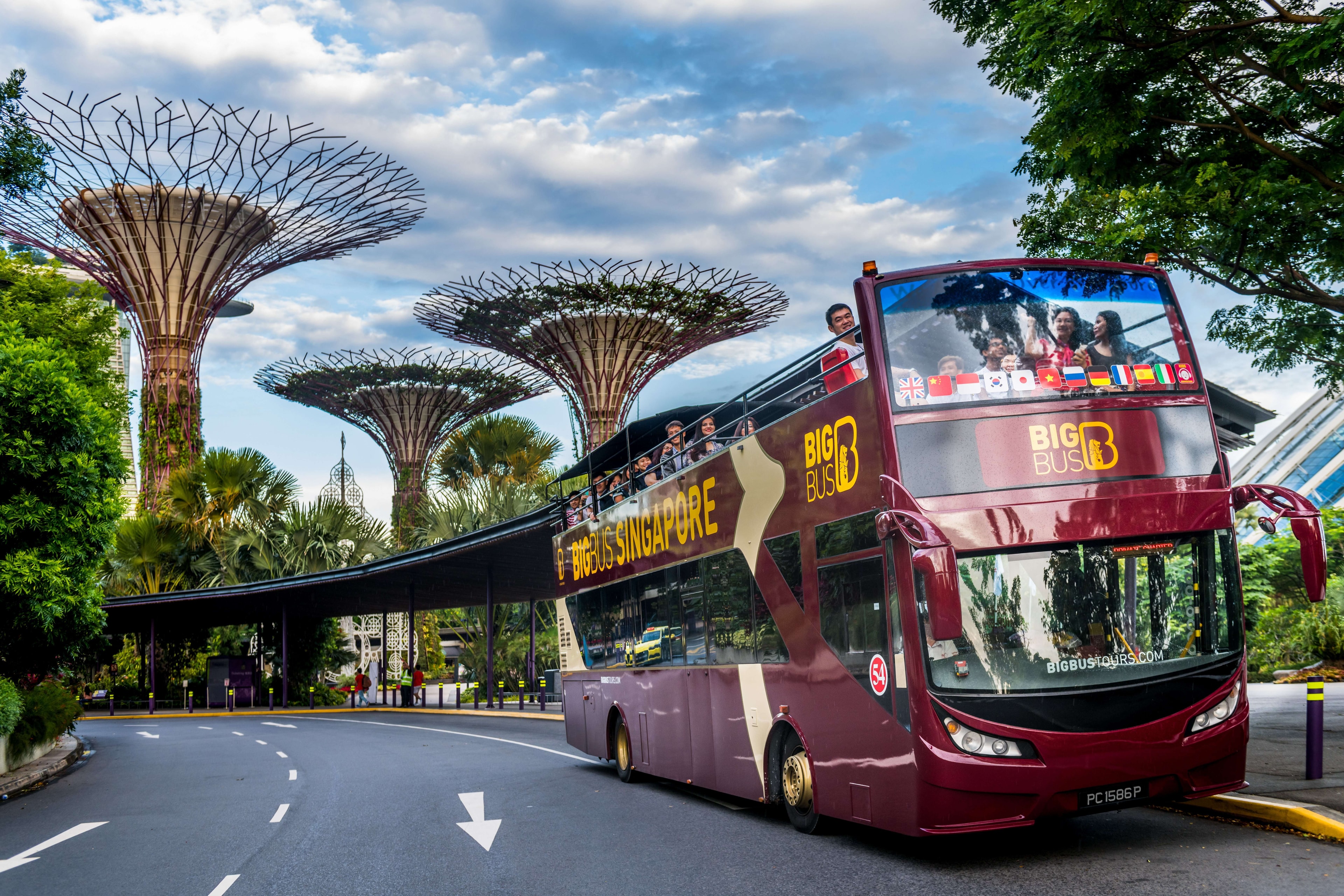 Recorrido de 2 días en autobús turístico por Singapur - Imagen 1