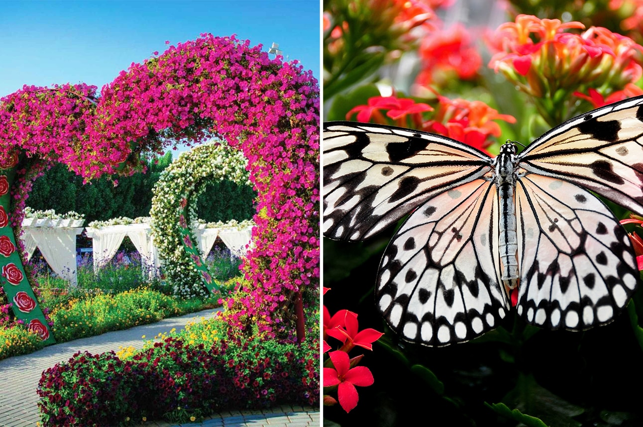 Recorrido por el Jardín de los Milagros y las Mariposas con traslados privados - Imagen 1