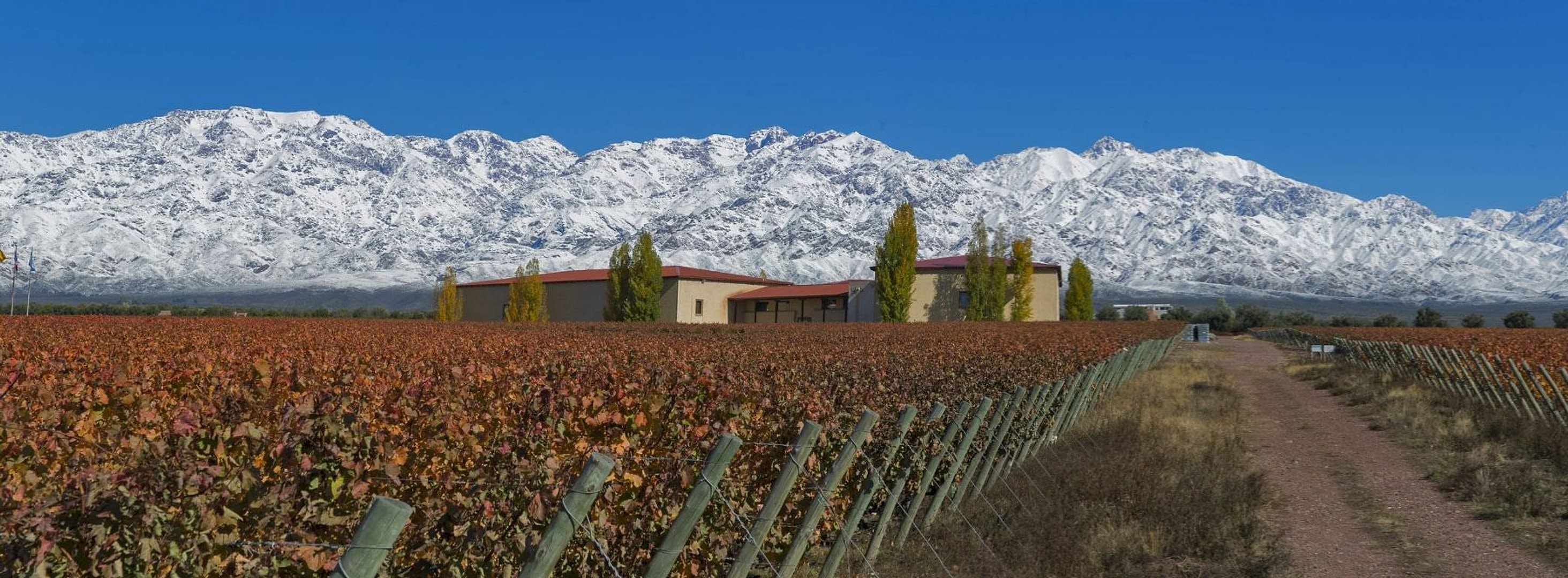 Bodegas Premium con almuerzo en Bousquet - Imagen 1