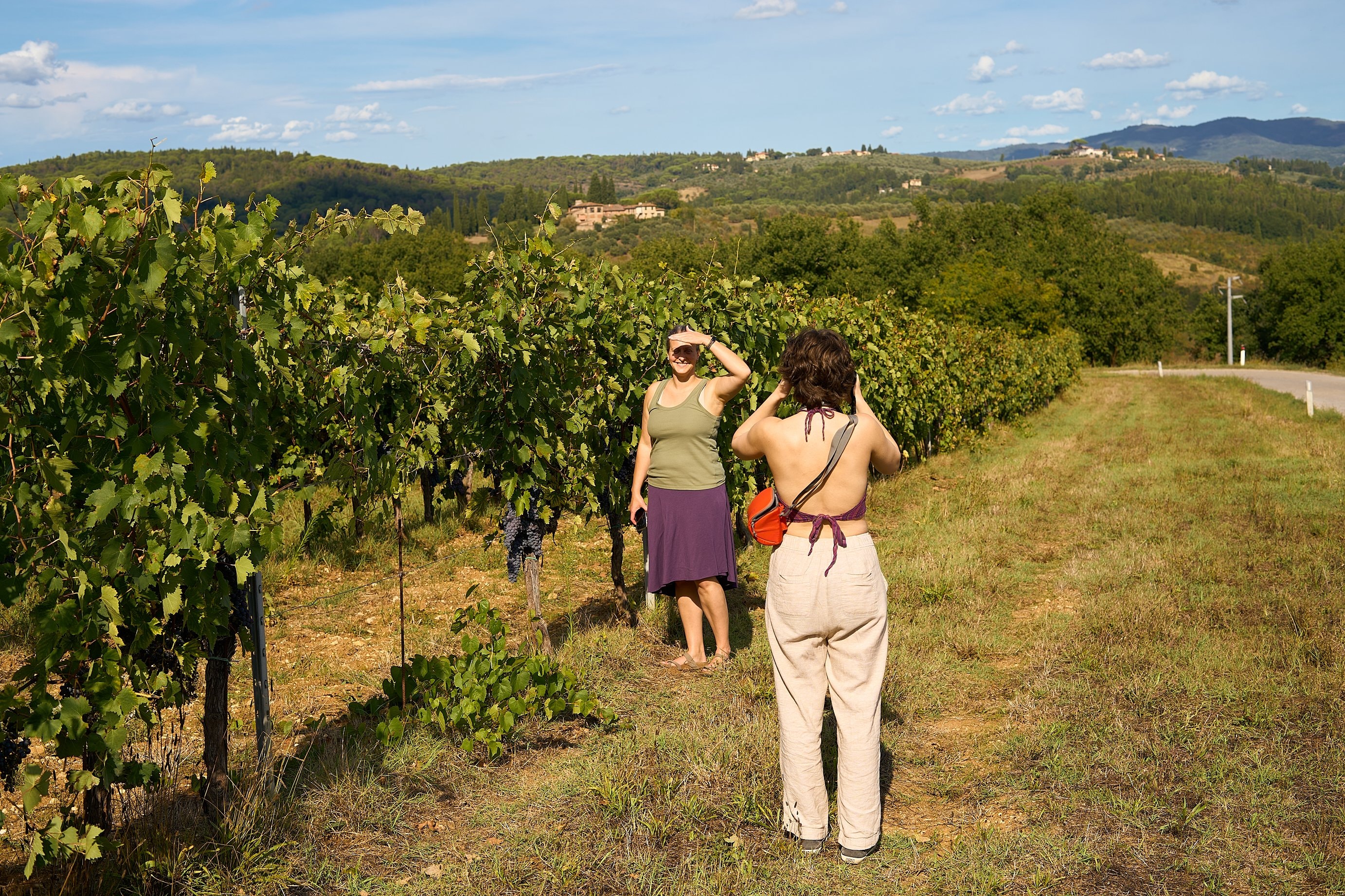 Chianti semiprivado: bodegas y catas - Imagen 1