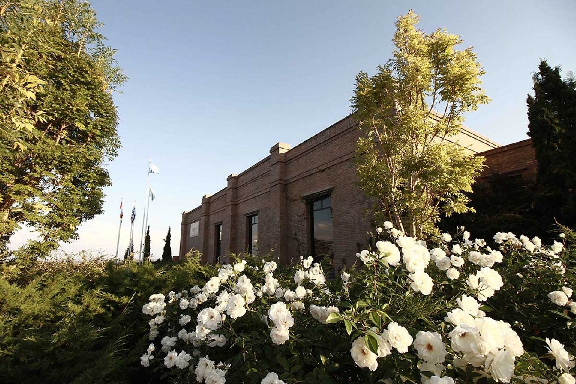 Tour enológico al Valle de Uco - Imagen 1