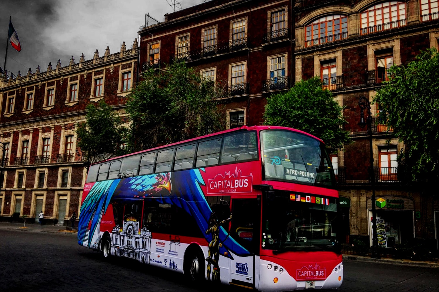 Recorrido nocturno en Capital Bus - Imagen 1