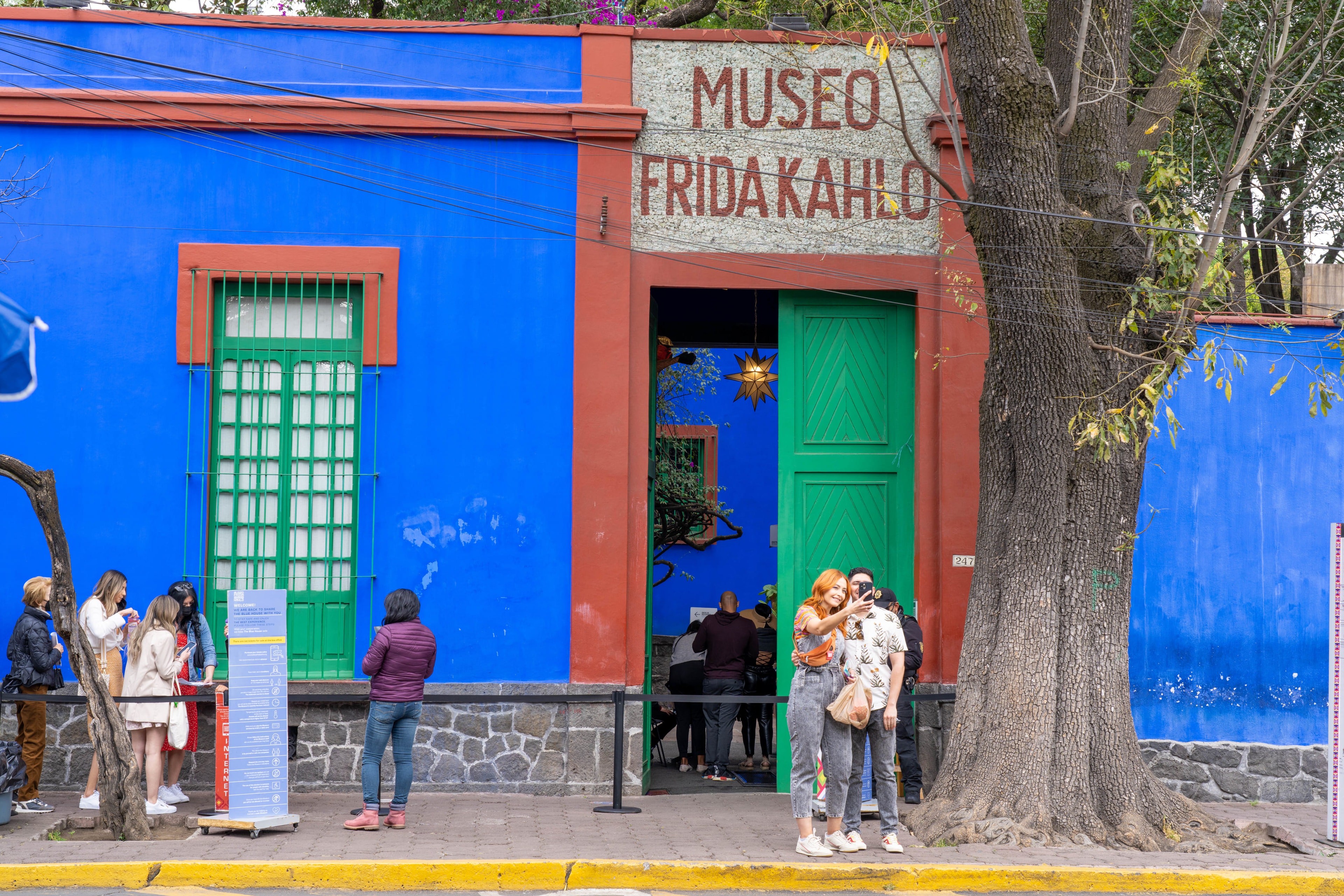 Entrada al Museo Frida Kahlo (Casa Azul) - Imagen 1