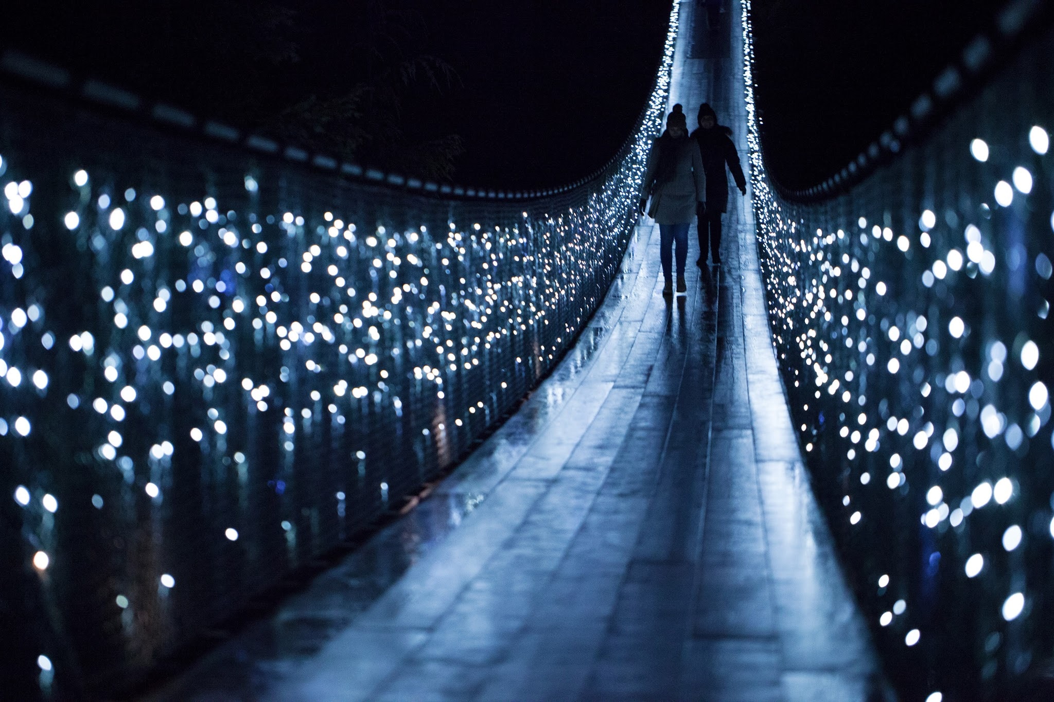 Luces festivas por la ciudad y  cañón de Capilano - Imagen 1