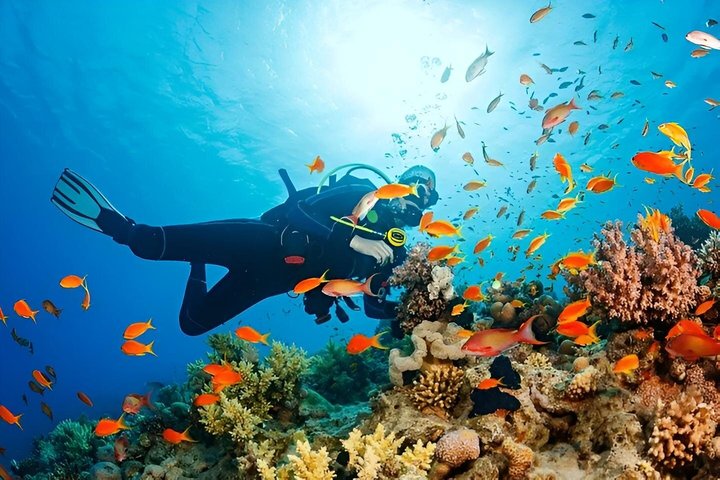 Snorkel y buceo en barco en Hurghada - Imagen 1