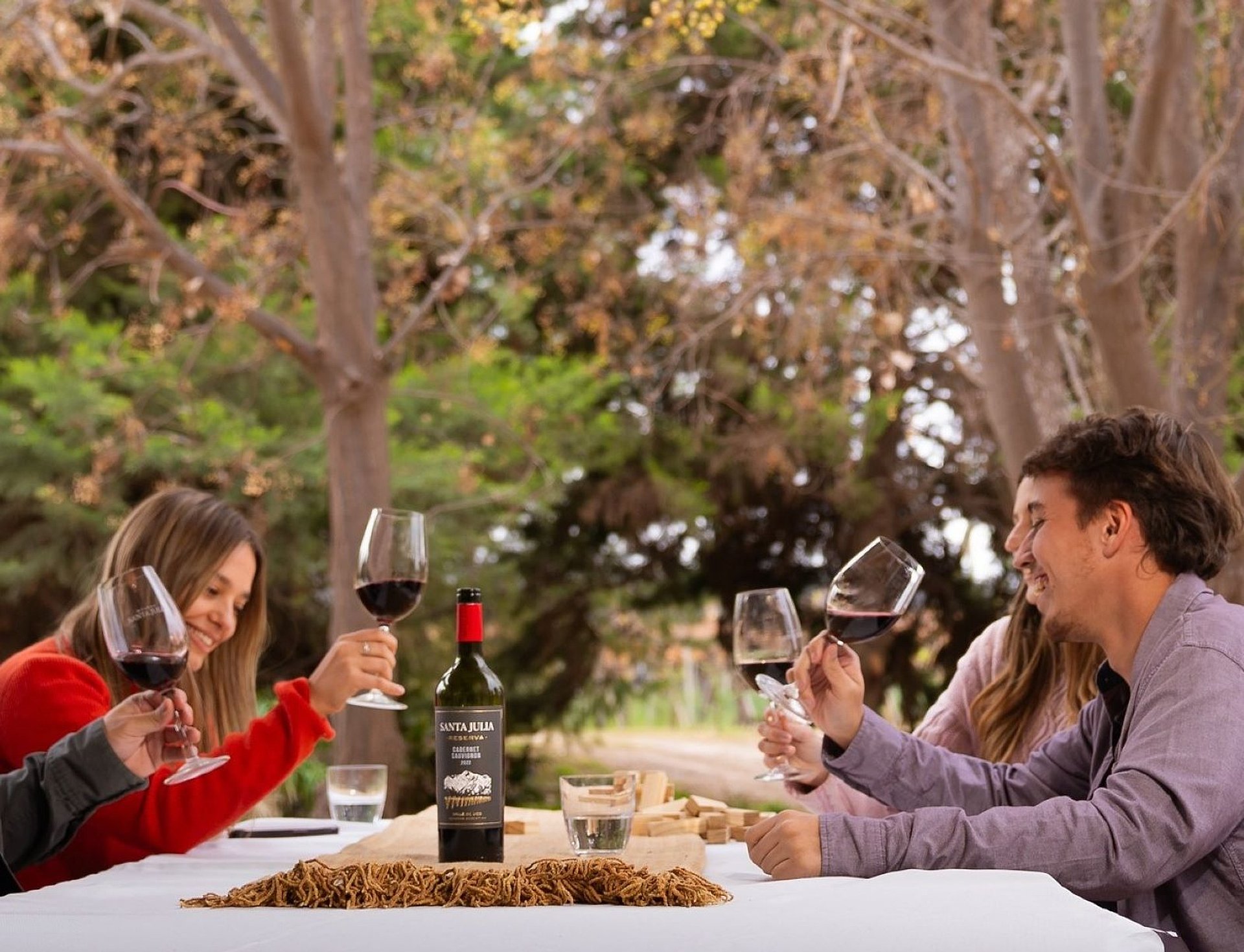 Vinos, viñedos y picnic en bodegas - Imagen 1