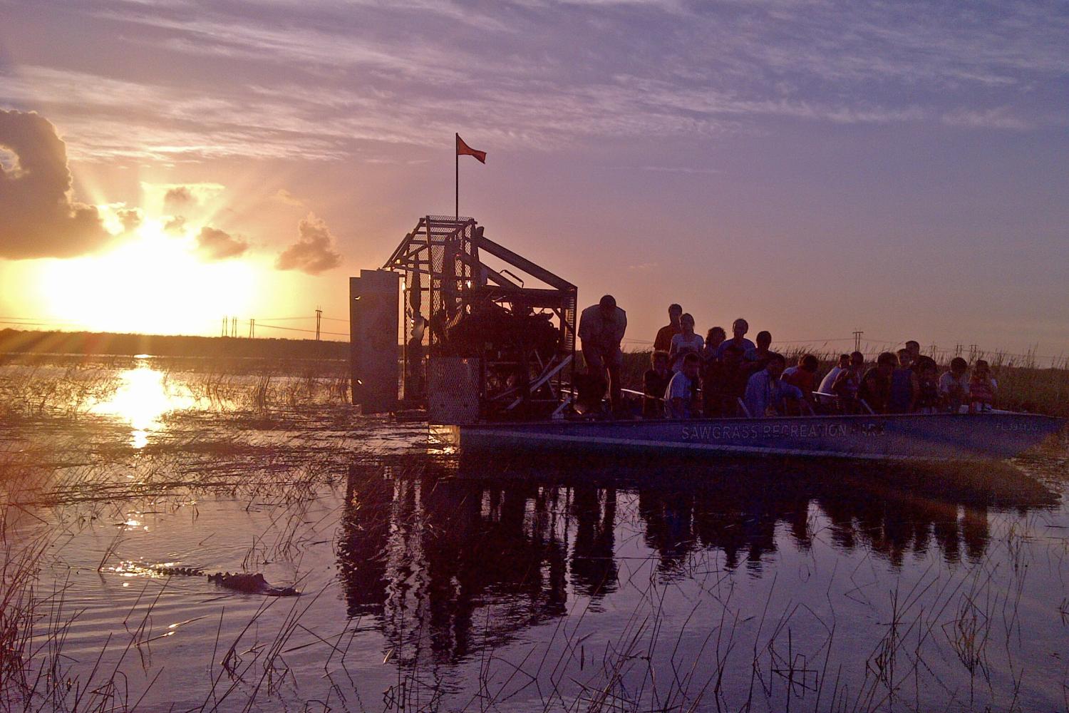 Recorrido nocturno por los Everglades: Parque recreativo Sawgrass - Imagen 1