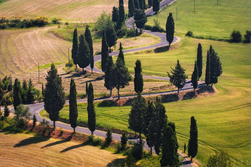 Chianti Classico, Montalcino, Montepulciano - Imagen 1