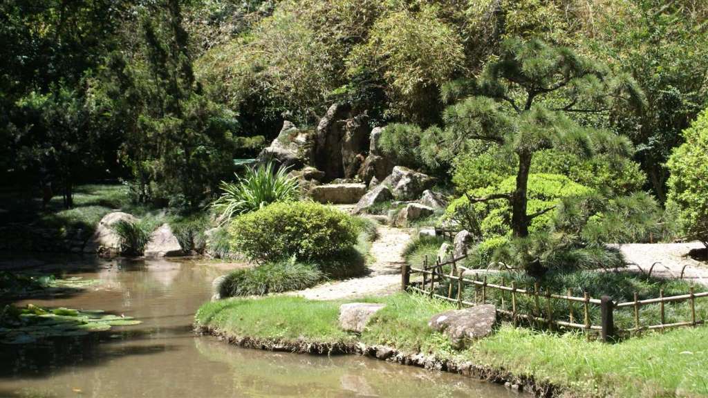 Visita guiada al Jardín Botánico - Imagen 1