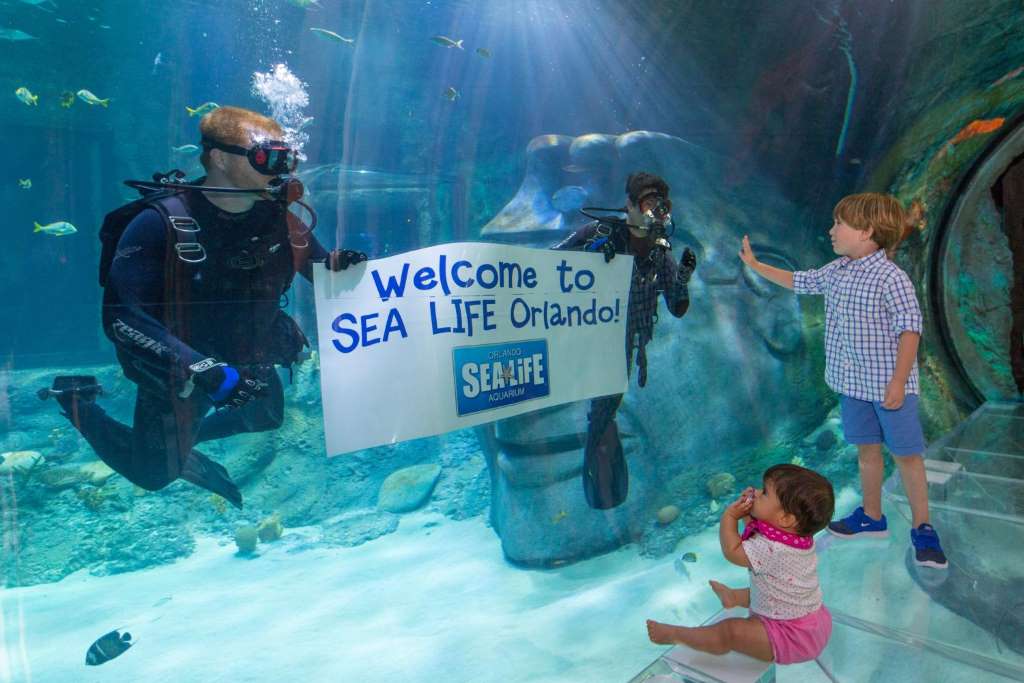 SEALIFE Orlando - Entrada estándar - Imagen 1