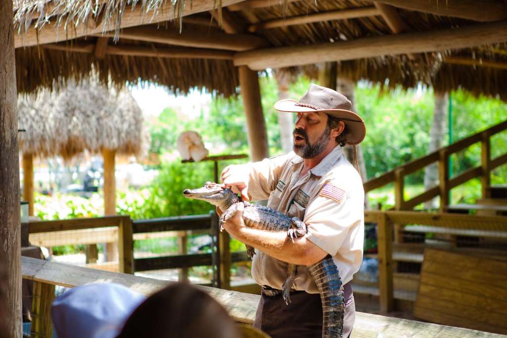 Aventura en Aerobote por los Everglades - Imagen 1