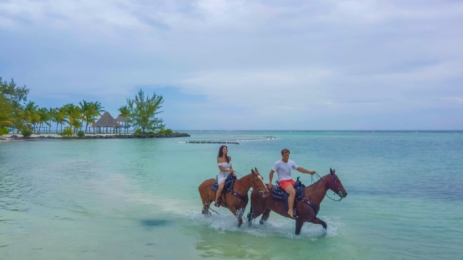 Swim Horse from Punta Cana