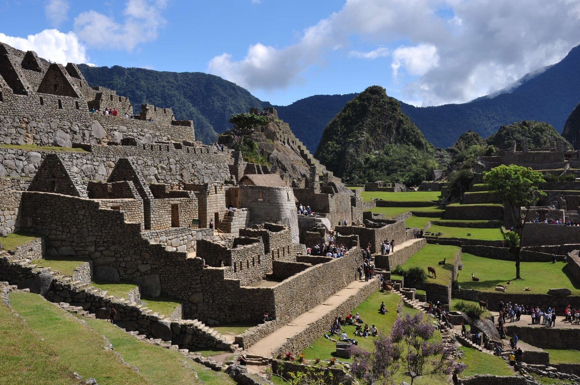 Machu Picchu Day Trip from Cusco