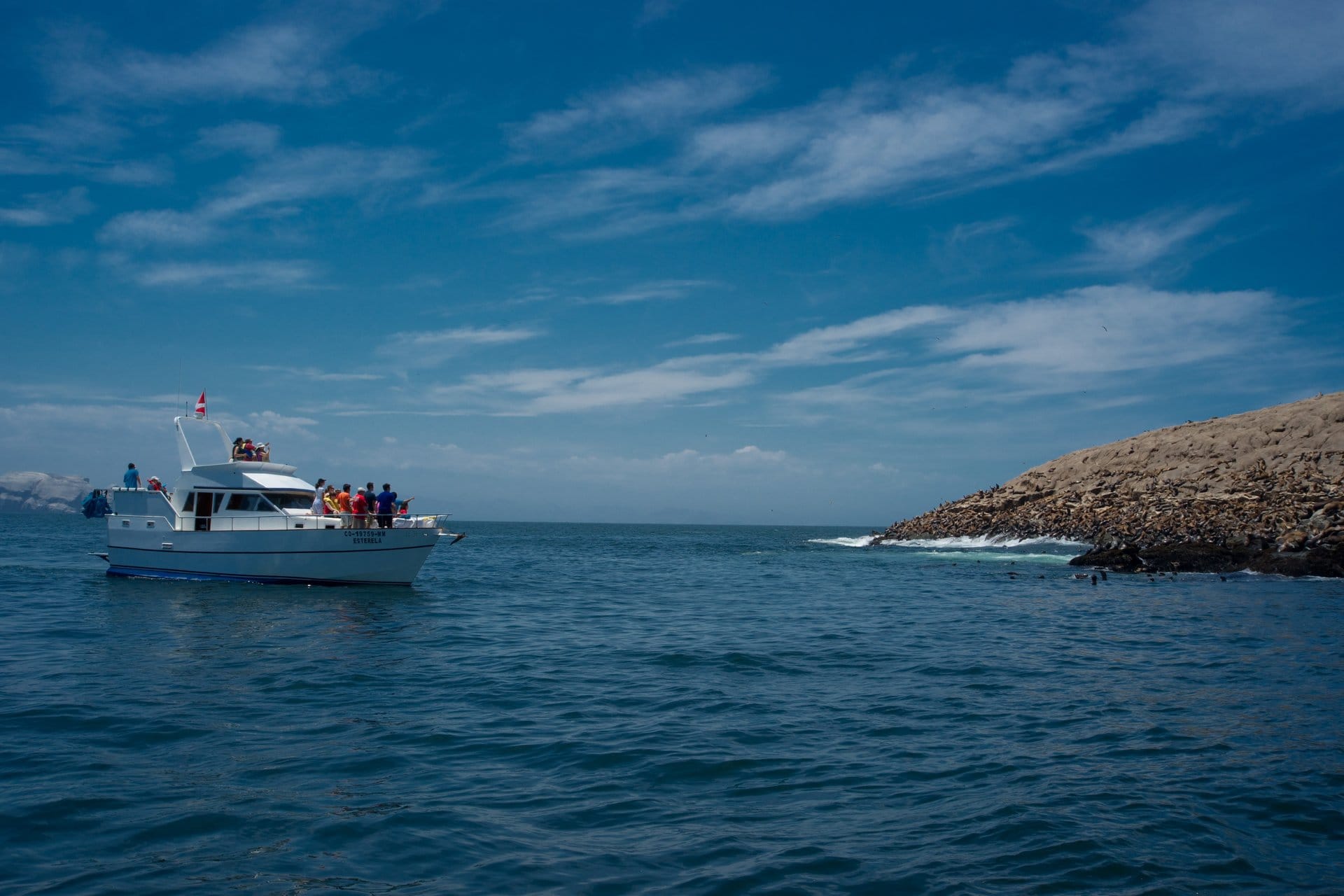 Swim with Sea Lions with Transfers