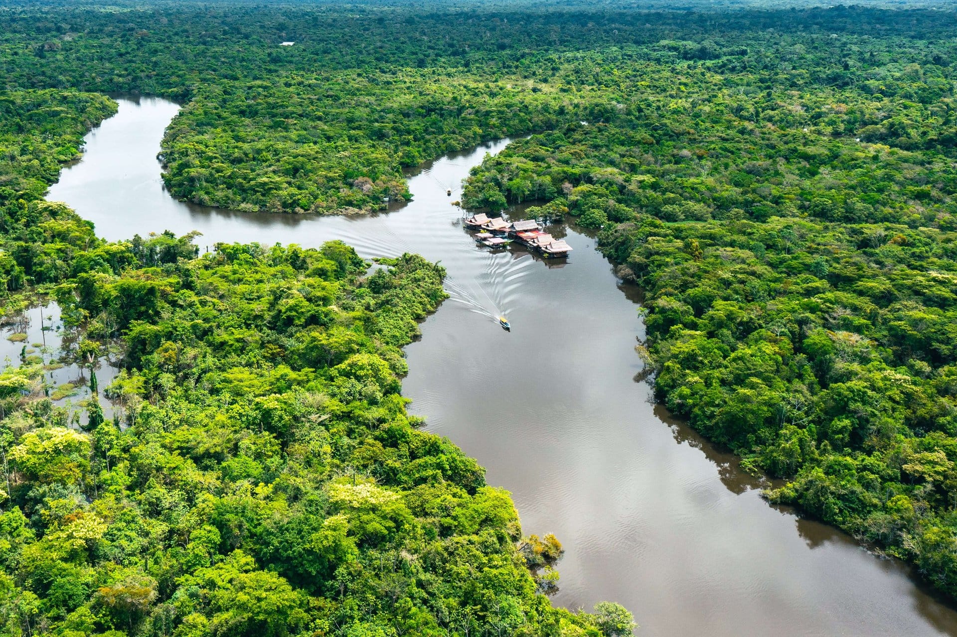 Iquitos Jungle Adventure: 4 Days/3 Nights
