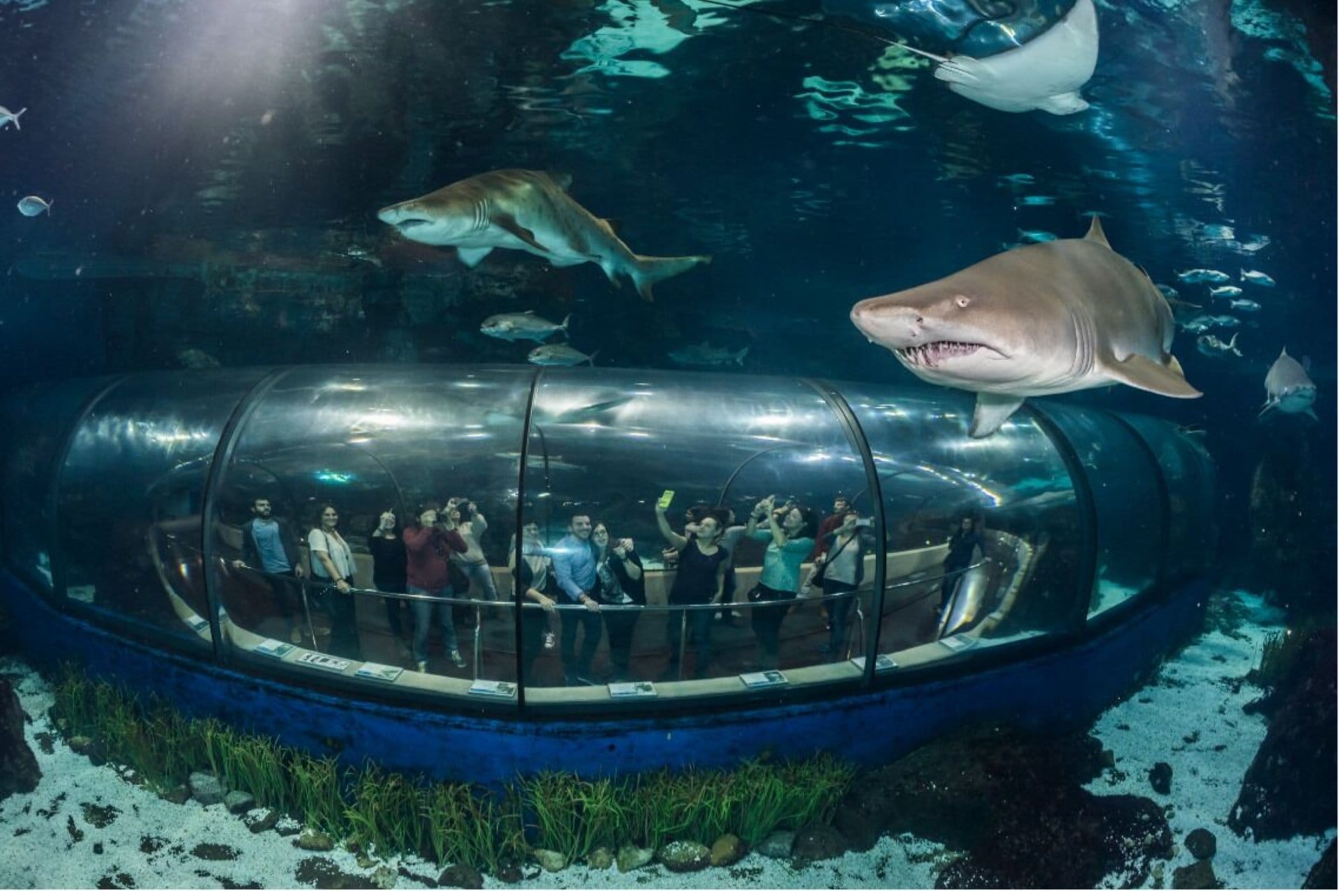 El Aquarium de Barcelona