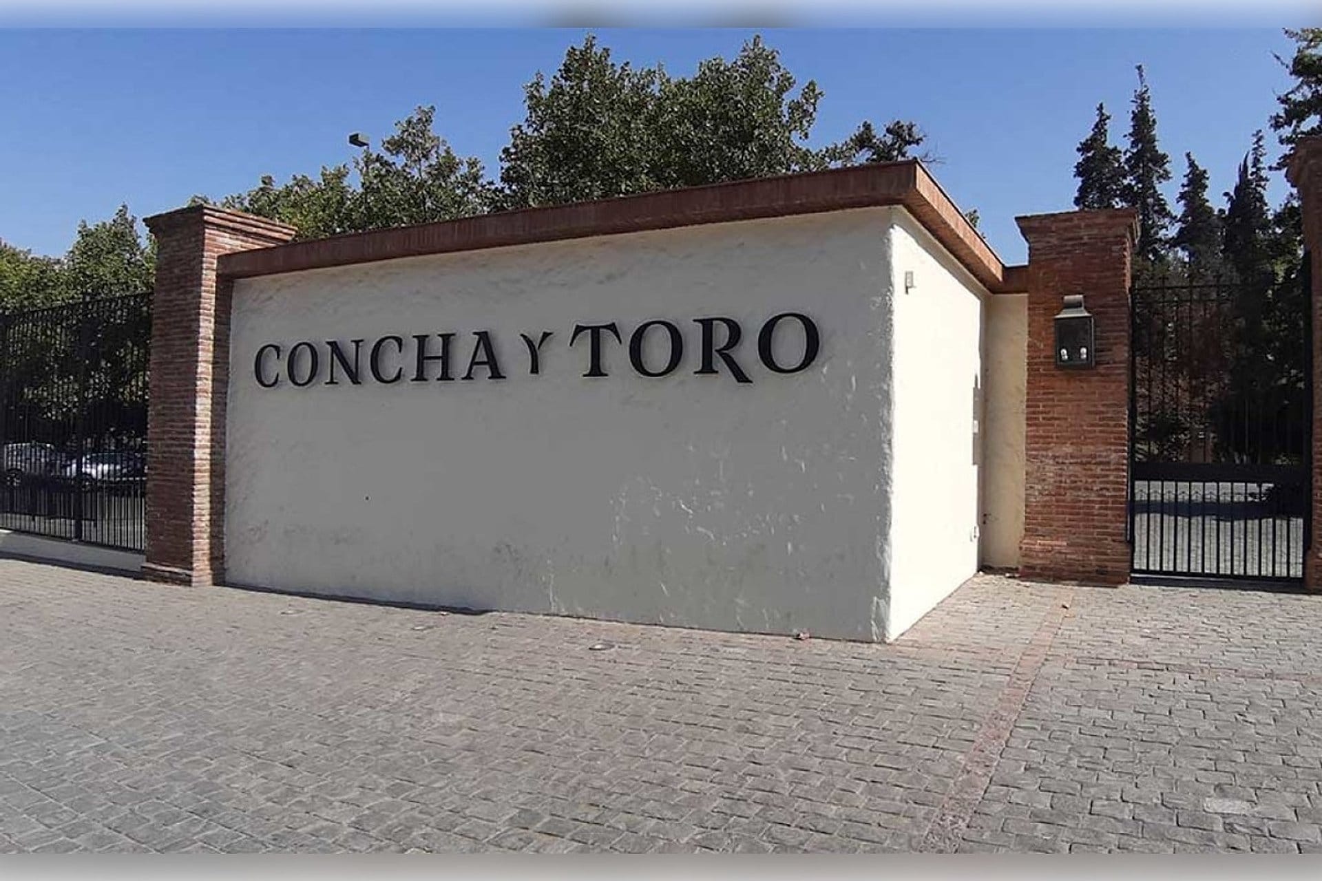 Visit to Viña Concha y Toro Standard