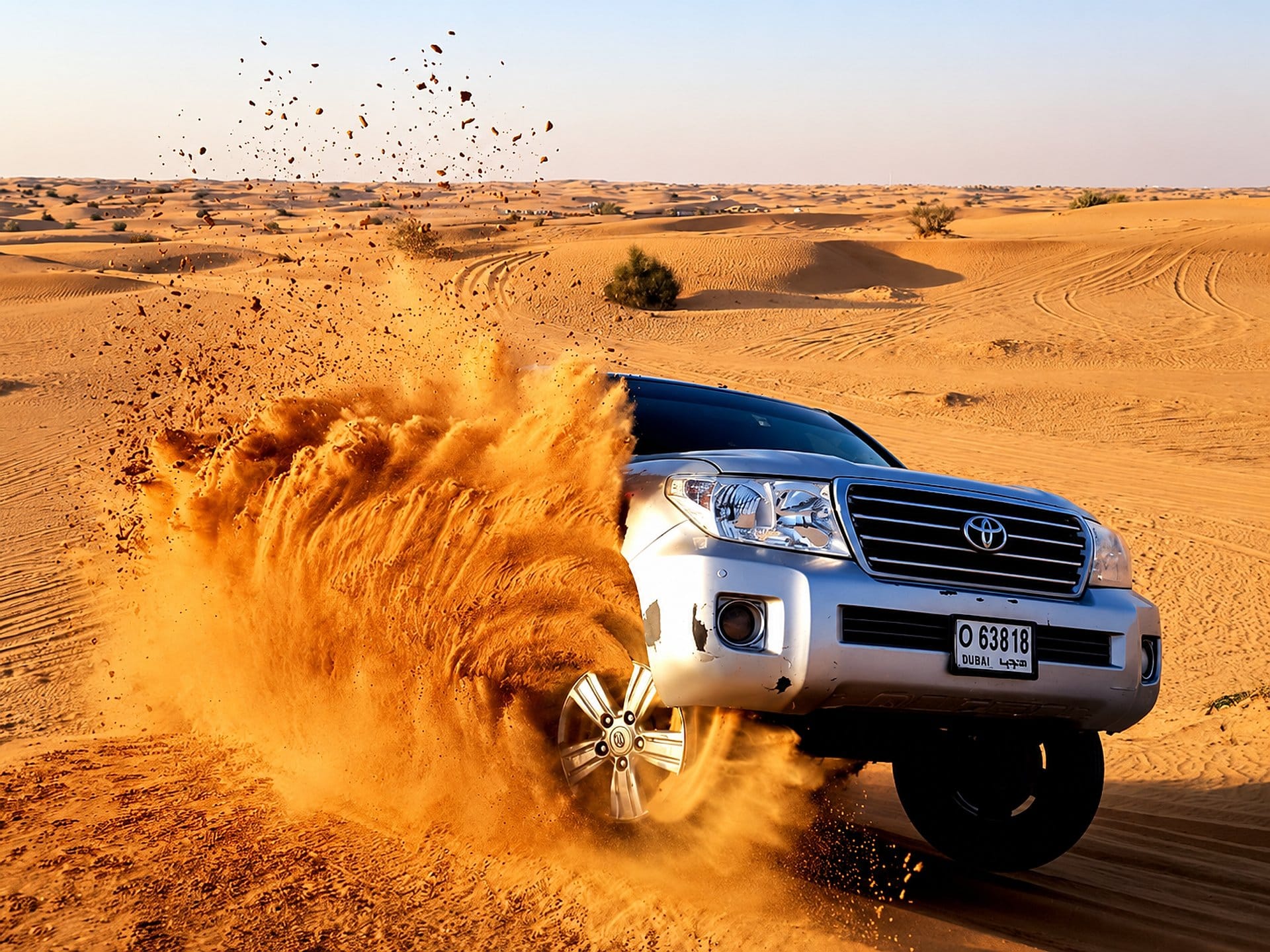 Half Day City Tour & Safari with Barbecue