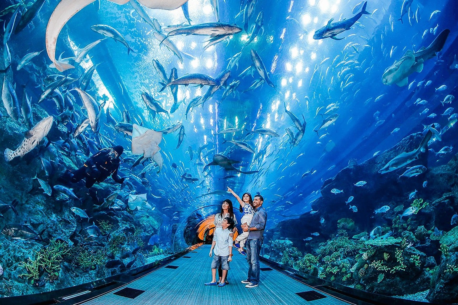 Dubai Mall, acuario, Burj Khalifa y fuentes