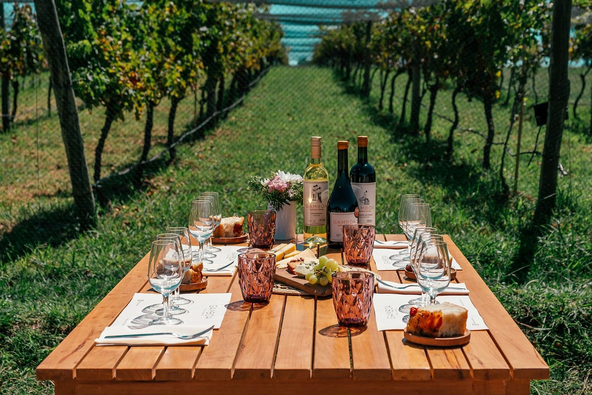 Viñedo Gamboa: vino y gastronomía
