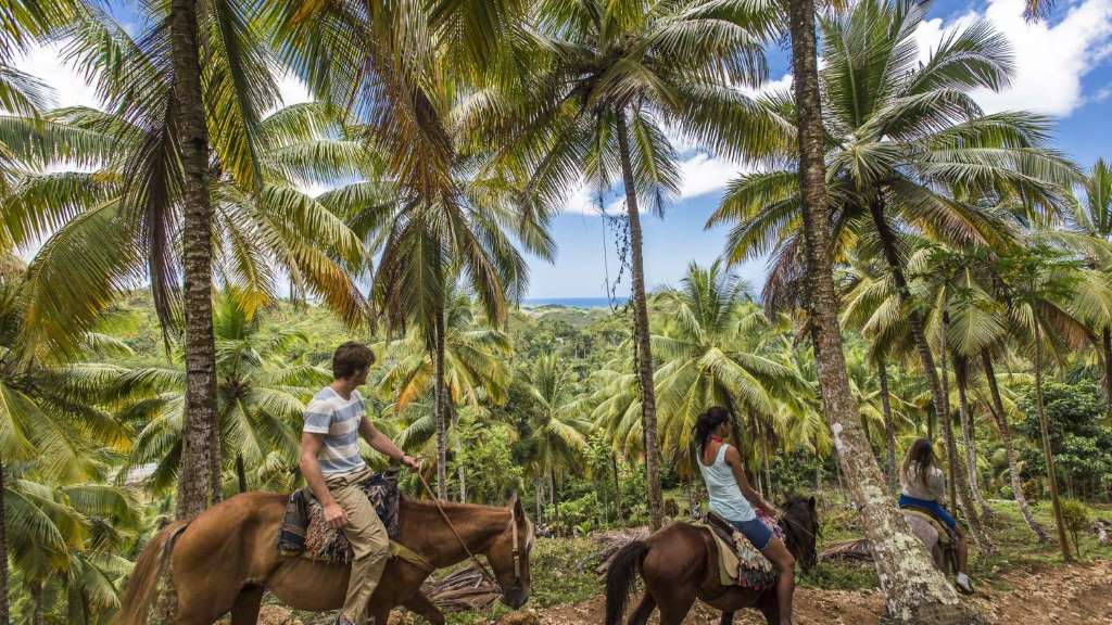 Samana Discovery Tour de Punta Cana