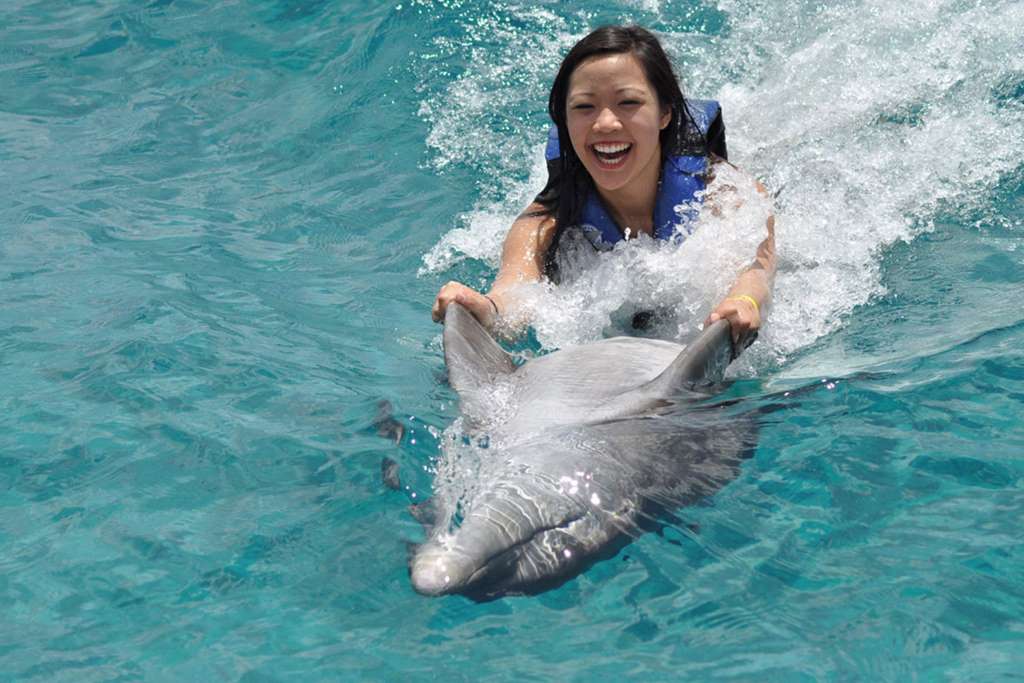 Nado con delfines Royal Swim